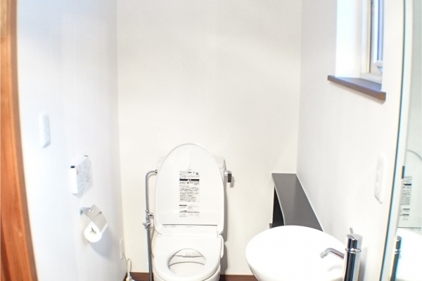 toilet1212D6C2F-EC77-C977-0AA2-60F9D6CDB83A.jpg